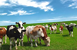 海欣食品全面扭虧，營(yíng)收猛增13.48%/三全食品營(yíng)收同比增12.87%