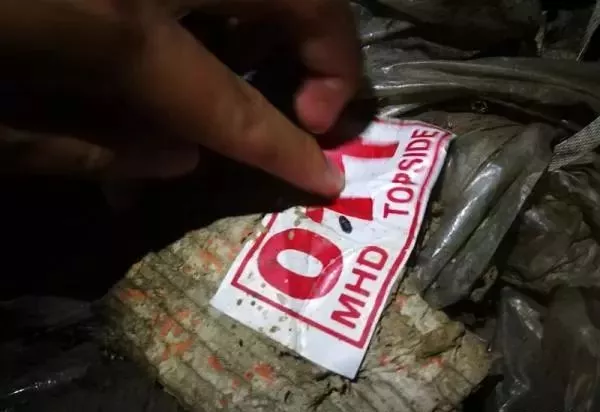 金平私挖走私凍肉事件調查：挖一斤可賣5元，一過秤就給錢