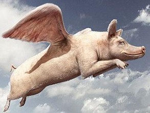 最大養(yǎng)豬戶巨虧4.6億元！風(fēng)口上的“二師兄”為啥沒飛？