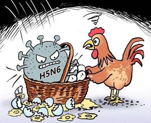 1559809927421669.jpg ji.jpg