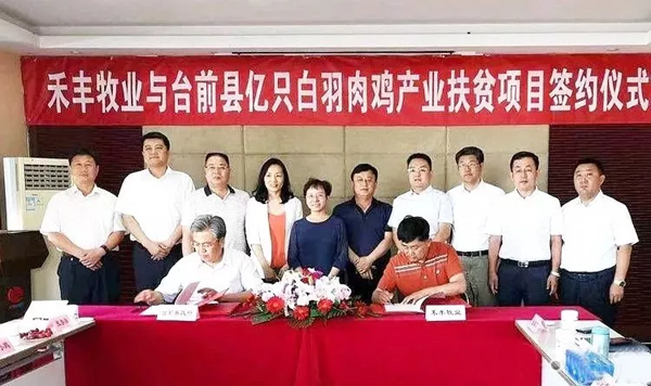 1561362041365413.png z (1).png