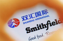 增收不增利，雙匯發(fā)展如何應(yīng)對(duì)“二師兄”漲價(jià)