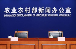 非瘟爆發至今，全國共撲殺生豬120萬頭；2萬噸儲備肉今日出庫競價