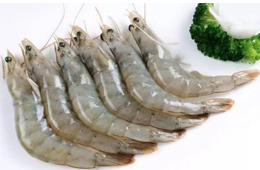 白蝦最新報價！多地凍品市場冷清，餐飲不足三成！有業(yè)者卻另辟蹊徑獲“爆單”