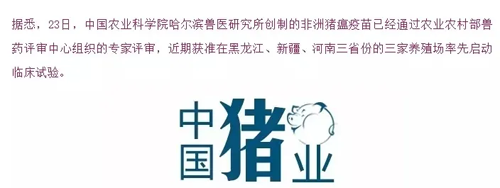 1585630499130783.png zhou (2).png