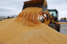  疫情全球肆虐，為什么我國不會出現糧食危機?