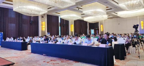 1597134284192315.png EB2XAIBJ8JEAELMRIDD_(VS.png