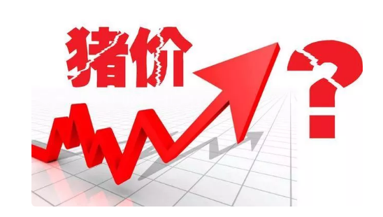 1605863696220733.png 3Q3C8HM9}QDU`HR5ZPG9@PM.png