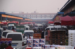 追蹤 | 冷庫停業，旺季將至，急壞凍品人！怎么辦？