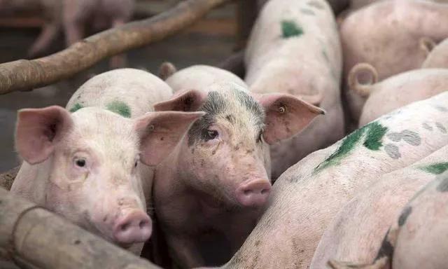 1610351911240823.jpg 1610351911240823.jpg