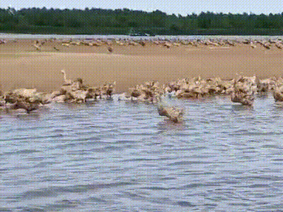 1611109216105907.gif 微信圖片_20210120101558.gif