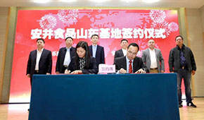 安井新動(dòng)作：國(guó)內(nèi)密集布局產(chǎn)能，海外收購(gòu)英國(guó)公司開啟國(guó)際