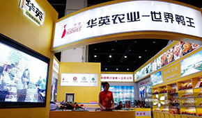  華英農業(yè)正式進入破產重整，“世界鴨王”能否浴火重生？