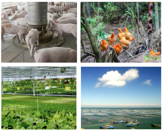 1649382436285898.png 微信截圖_20220408094306.png