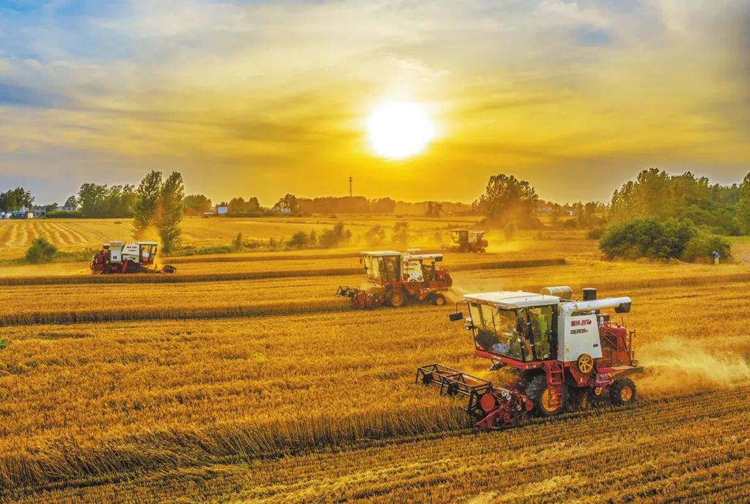 1666313768292266.jpg 1666313768292266.jpg