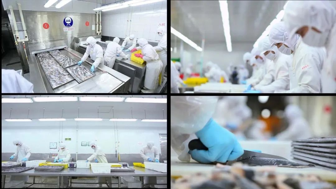 1675820251859833.jpg 1675820251859833.jpg