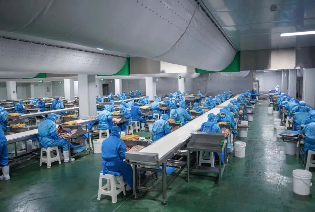 1677115749523450.jpg 1677115749523450.jpg