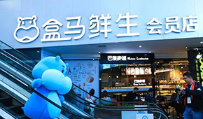 盒馬“移山”，山姆“殺馬”？會員制商超打起來了！