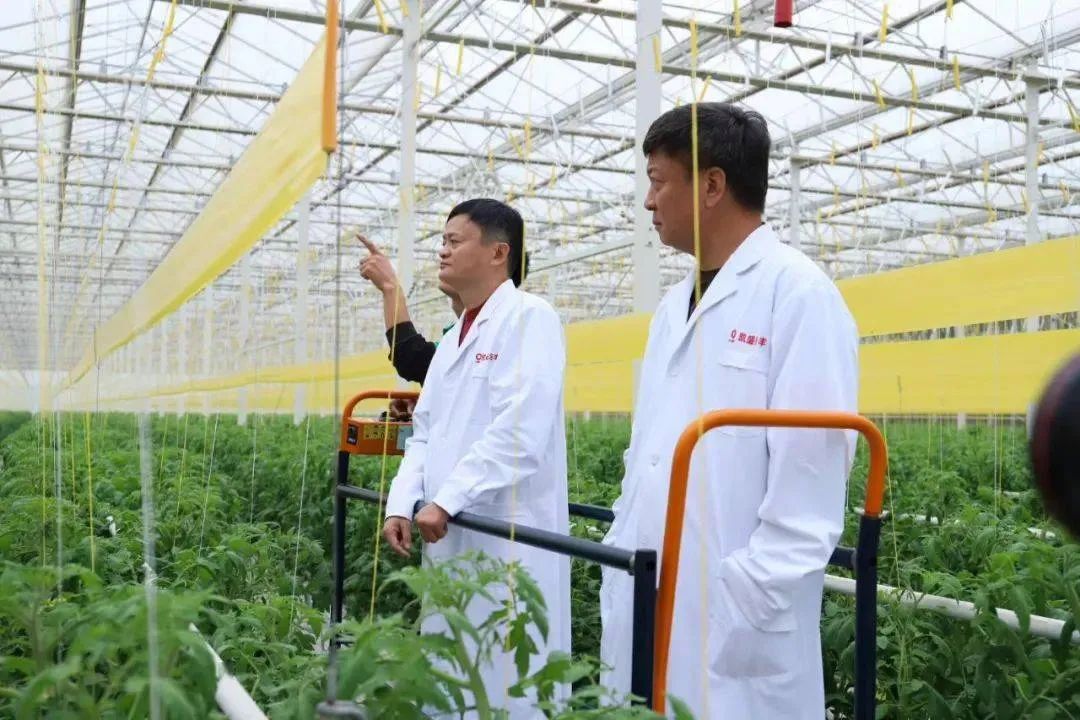 1701134977619614.jpg 1701134977619614.jpg