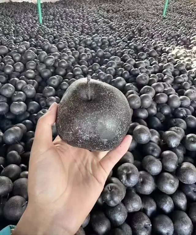 1705285455674505.jpg 1705285455674505.jpg