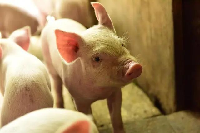 1716860647699186.jpg 1716860647699186.jpg