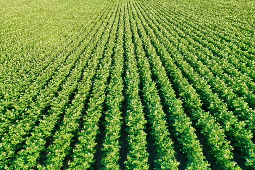 1734397853249753.jpg 1734397853249753.jpg