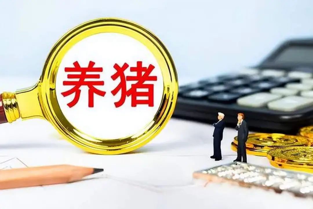 1736818812484873.jpg 1736818812484873.jpg