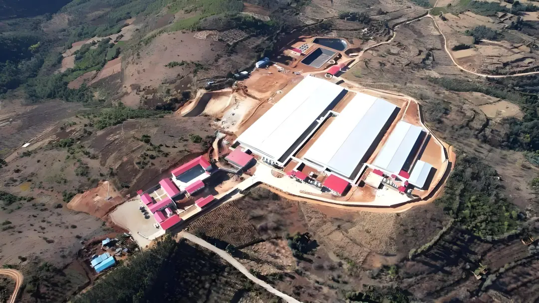 1764120591114852.png 1764120591114852.png