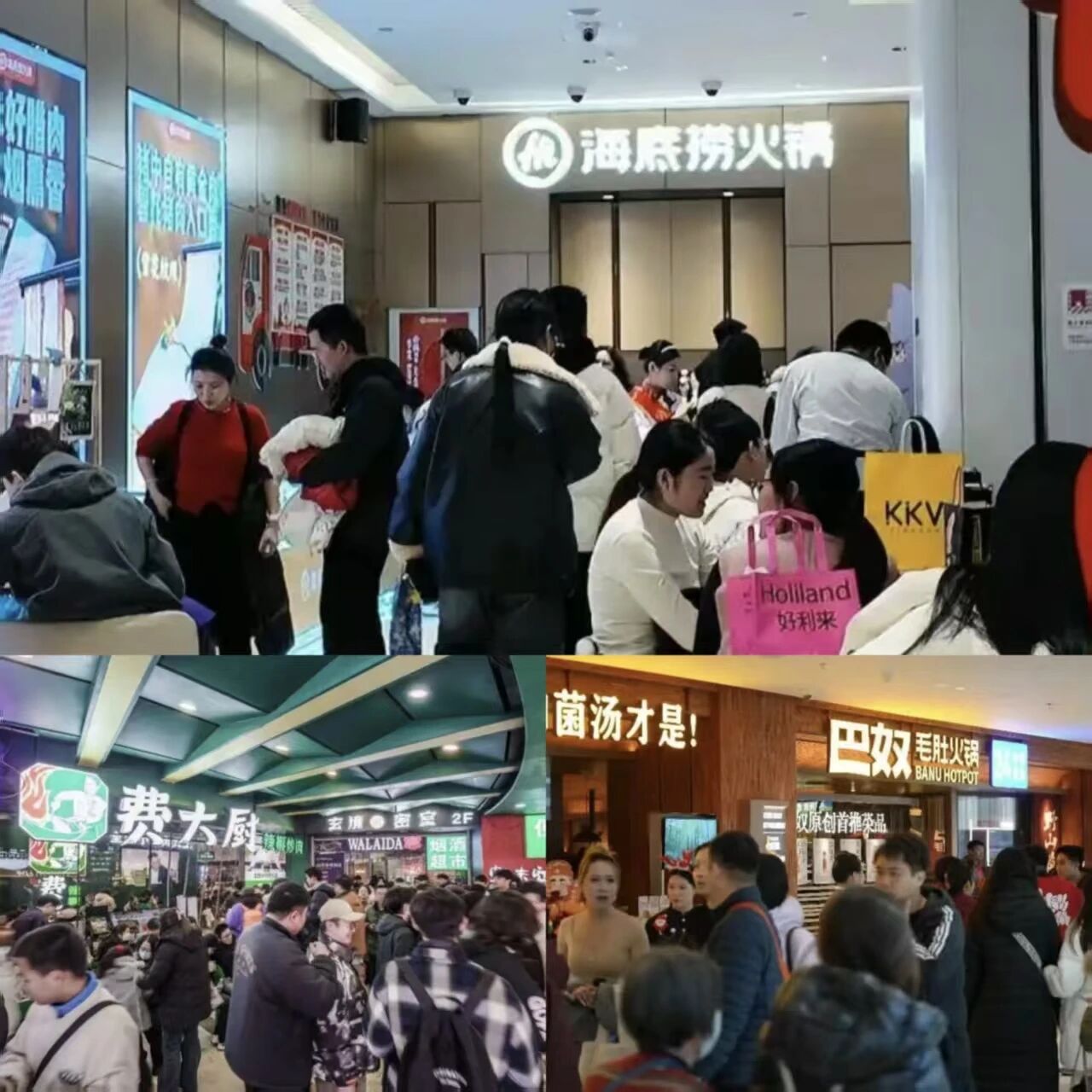 1767667423928445.jpg 1767667423928445.jpg